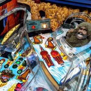 white water pinball machine