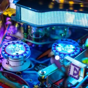 elton john collectors edition pinball machine